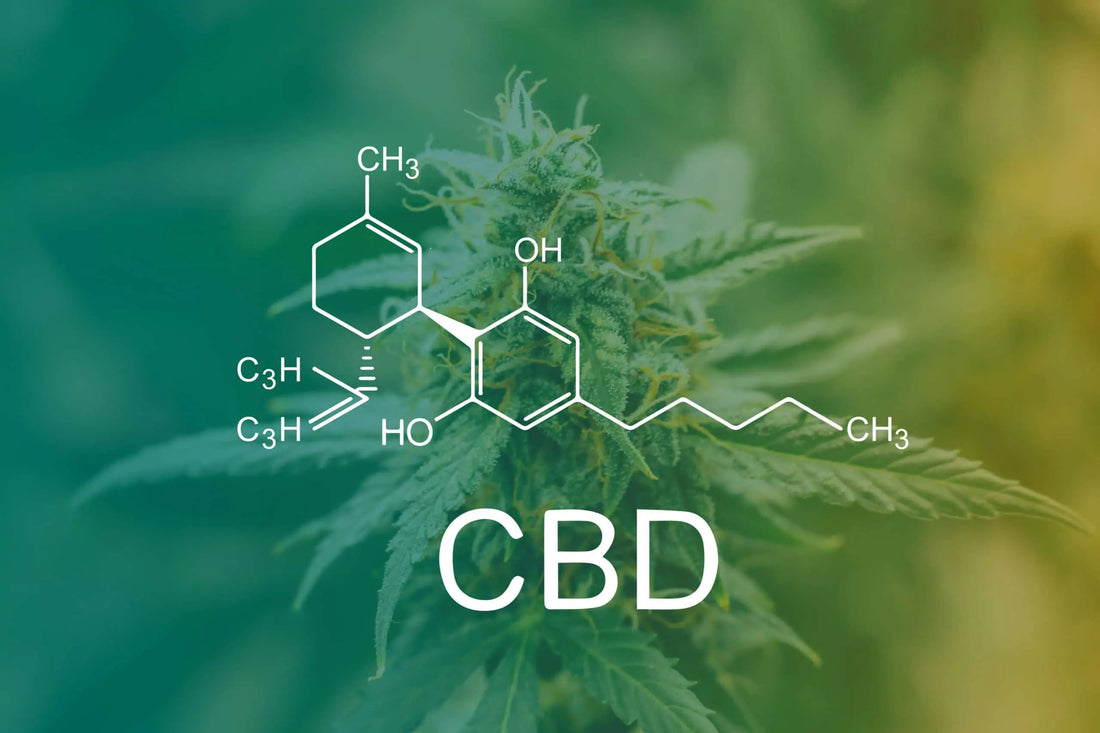 START HERE: CBD…Everything you need to know